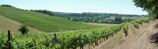 Panoramiques_montestruc-sur-gers_28mai2011
